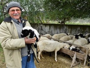 Ege Dayanışması Türkiye’ye Örnek